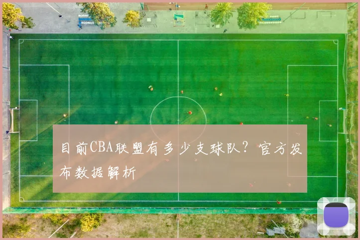 目前CBA联盟有多少支球队？官方发布数据解析