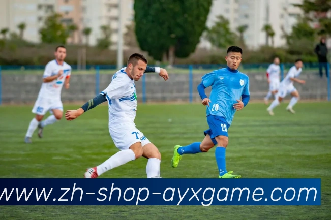 爱游戏全站App 爱游戏全站App